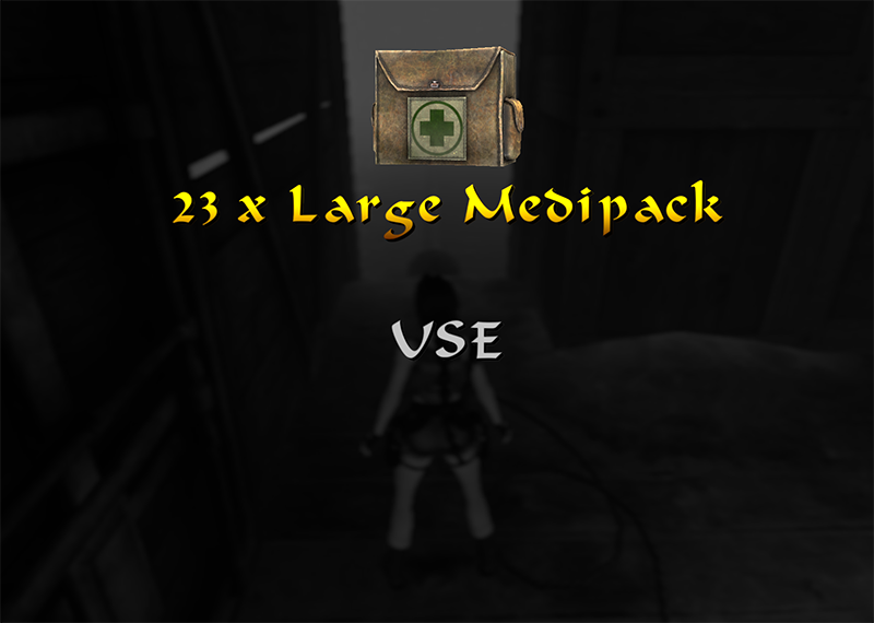 Medipack menu on Tomb Raider 4