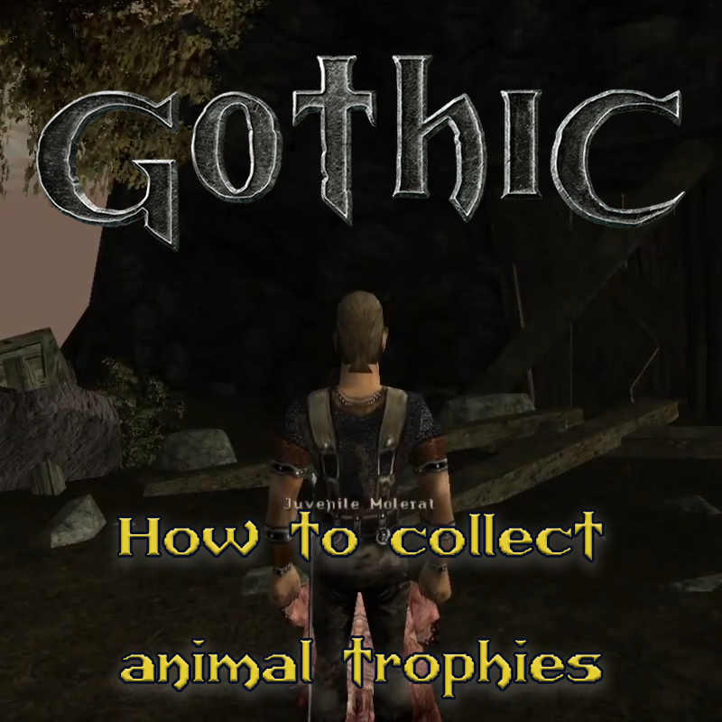 Gothic 1: How to get animal trophies, skins, items