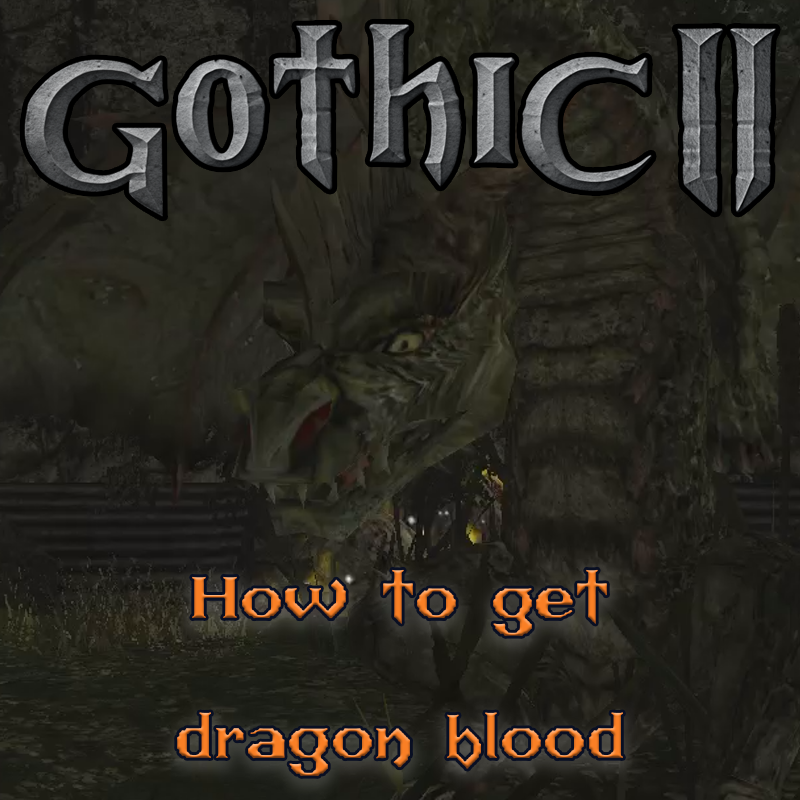 Gothic 2: How to get dragon blood